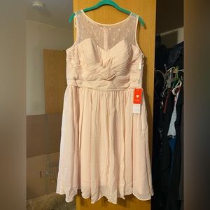 Knee length pink dress size 18